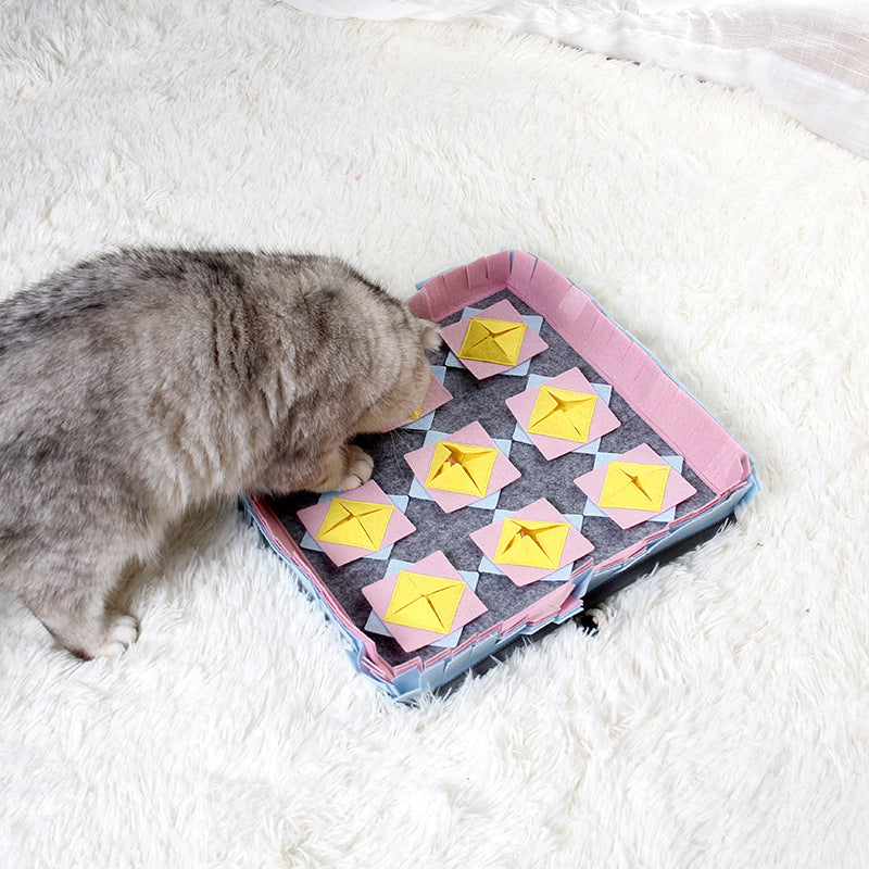 The dog sniffs the mat