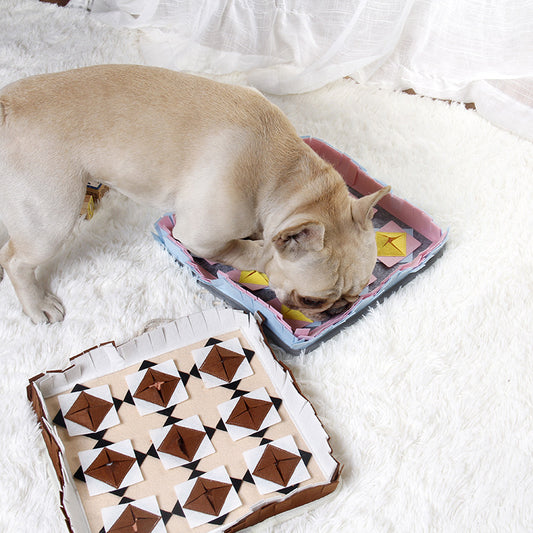 The dog sniffs the mat